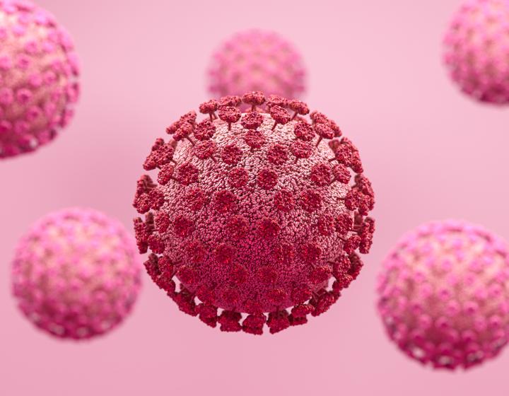 Koronaviruksia vaaleanpunaisella taustalla